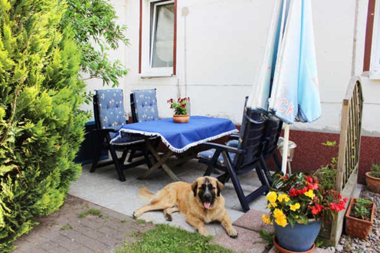 Isabell Apartment Зиновиц Екстериор снимка